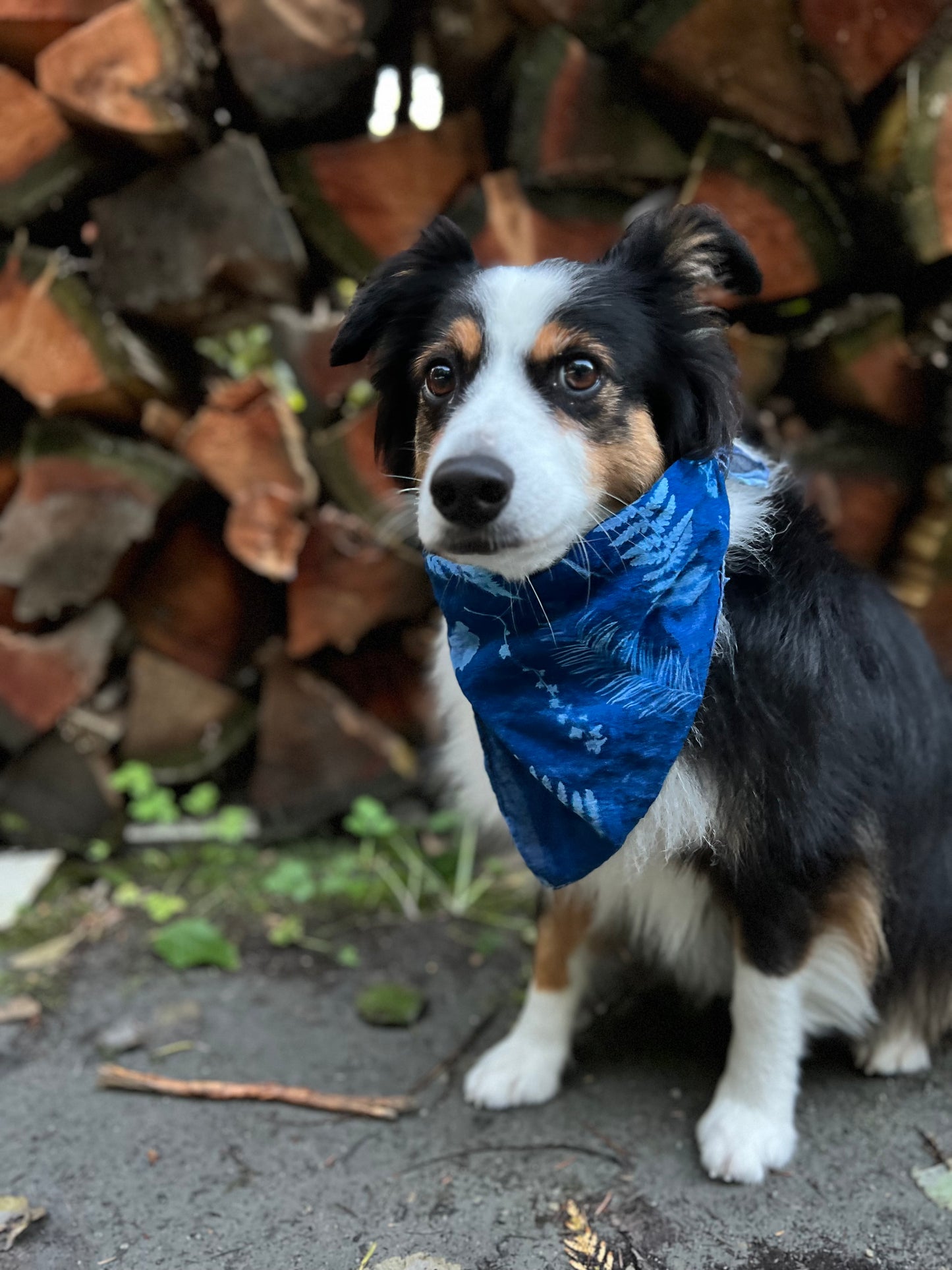 Cyanotype Bandana - Patchwork Botanicals