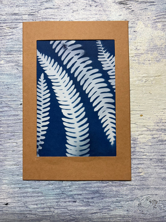 Cyanotype Print- ferns