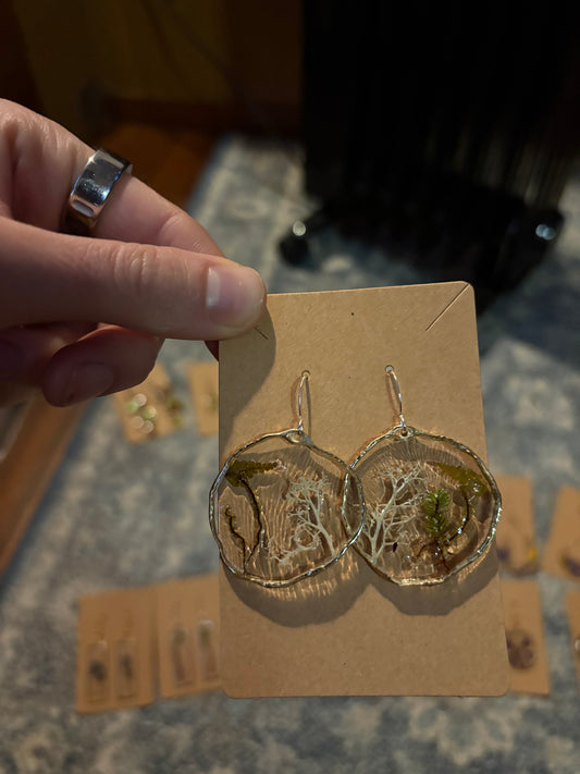 Tongass Forest Earrings