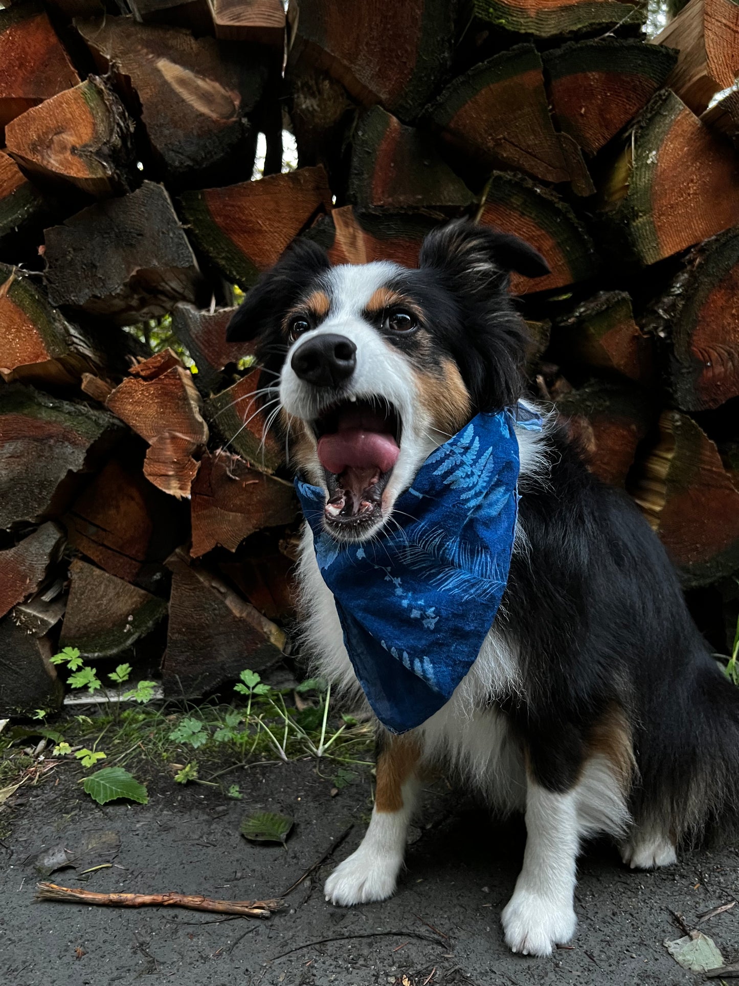 Cyanotype Bandana - Patchwork Botanicals