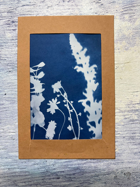 Cyanotype Print - flowers