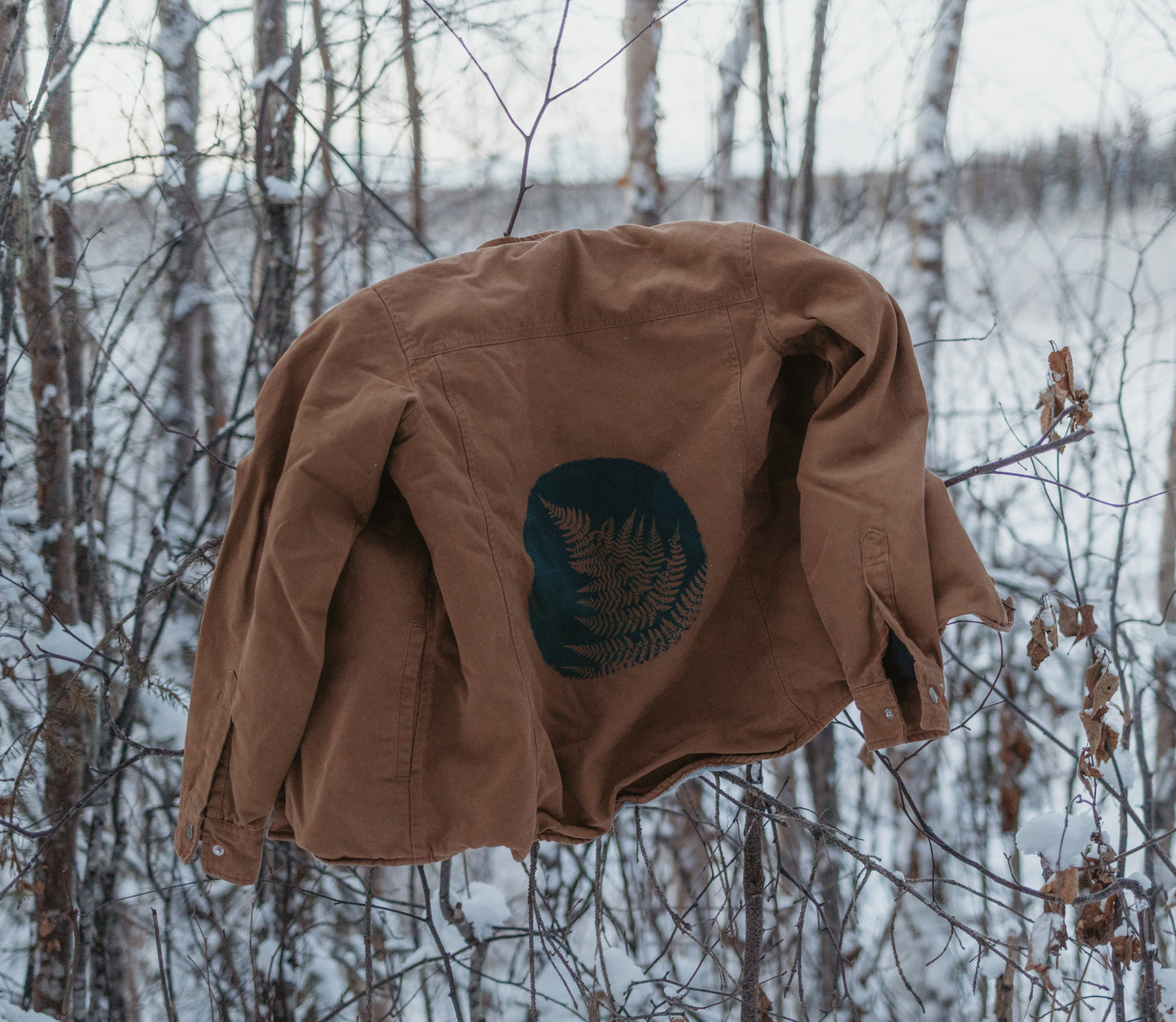 Dickies hooded jacket